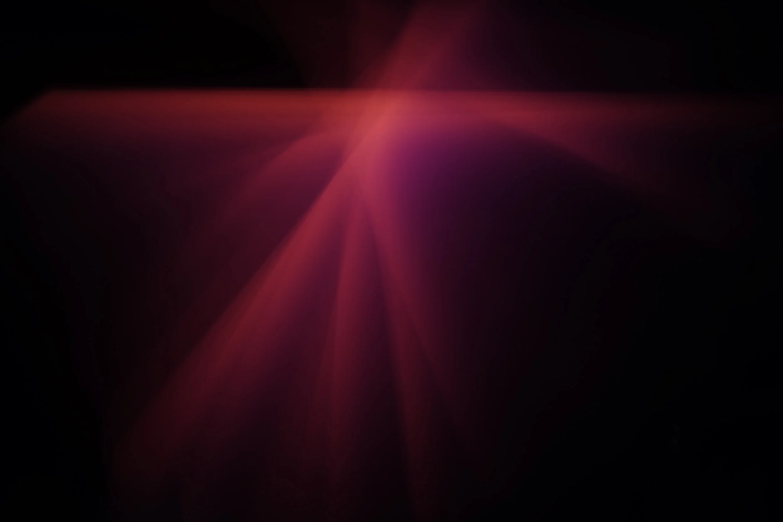 _DSF3567.JPG