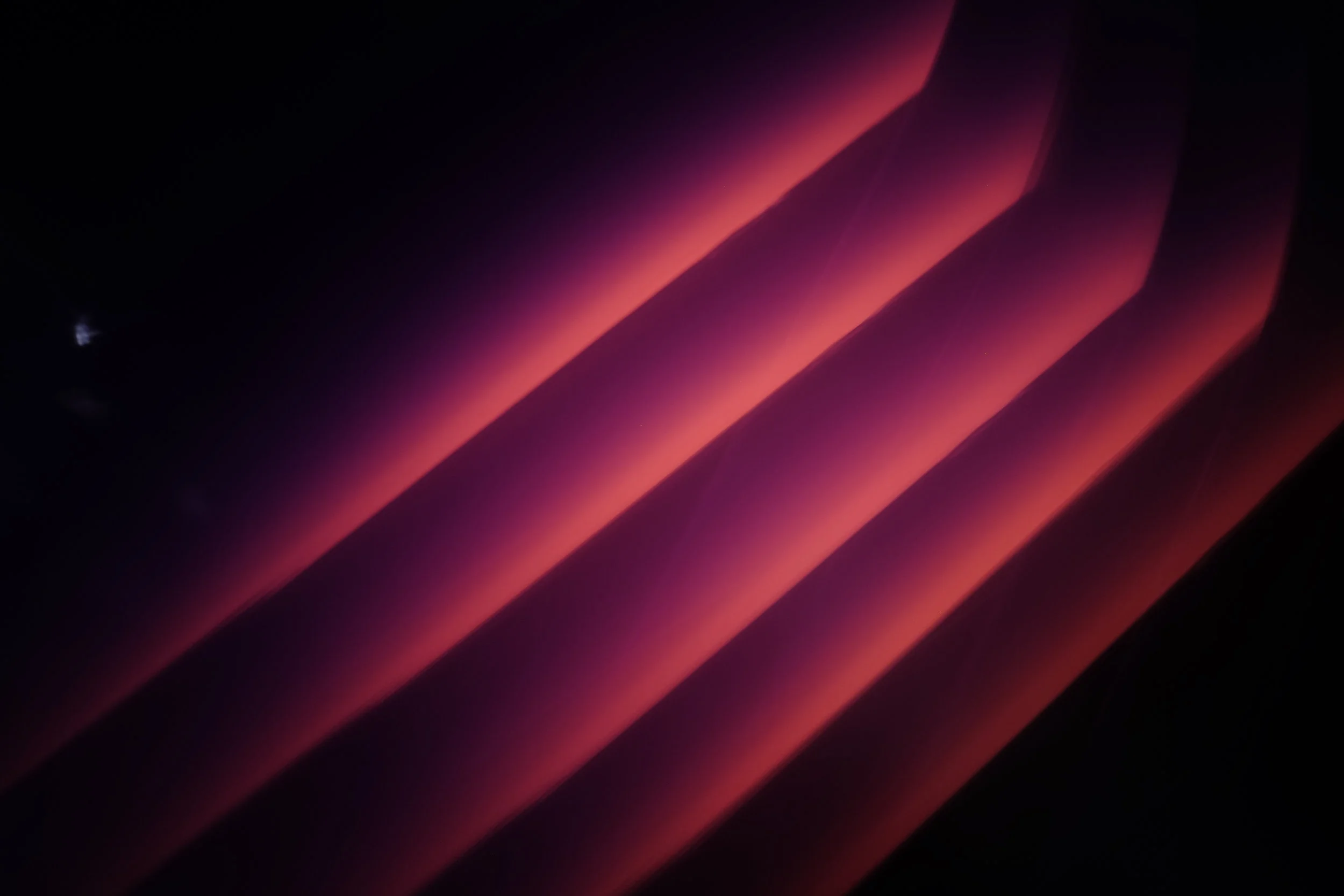 _DSF3593.JPG