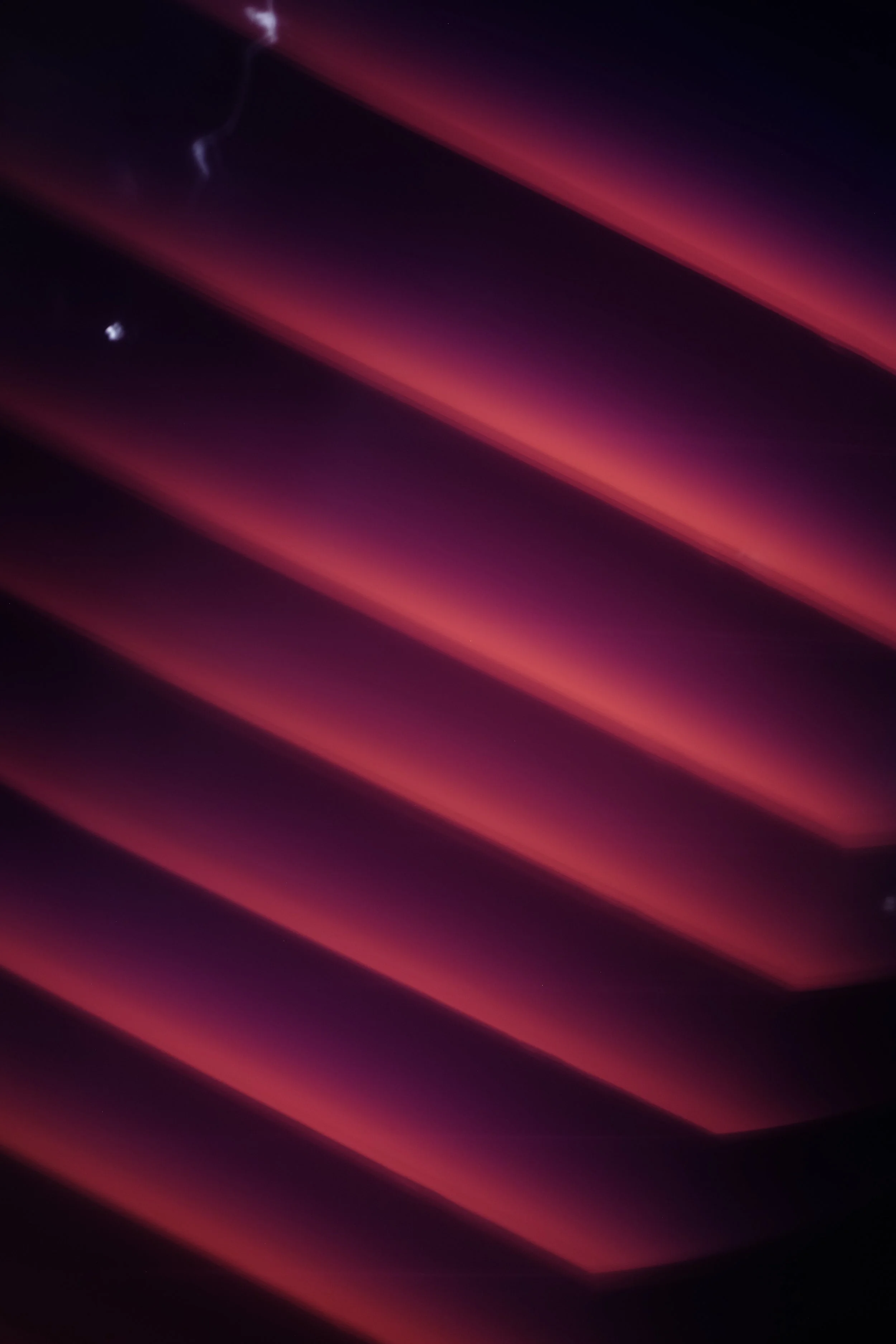 _DSF3594.JPG