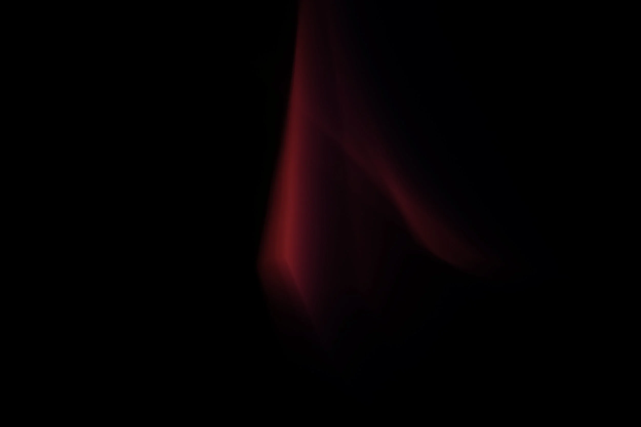 _DSF3596.JPG