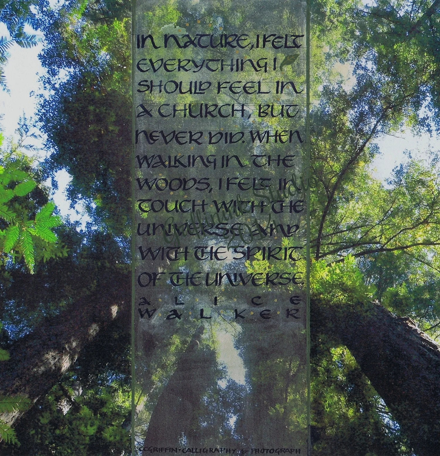 Nature - Universe, 2014