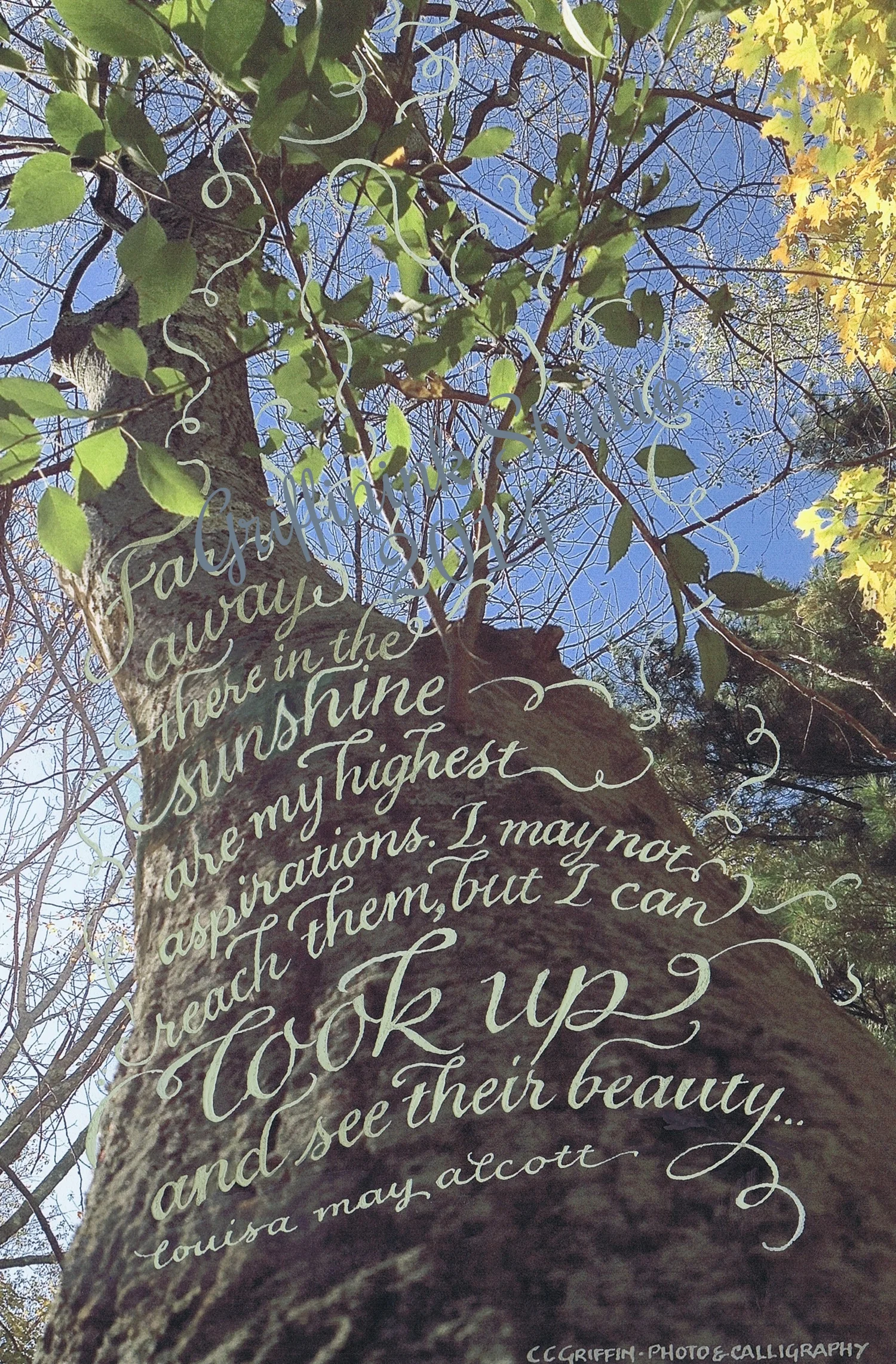 Look Up, 2014