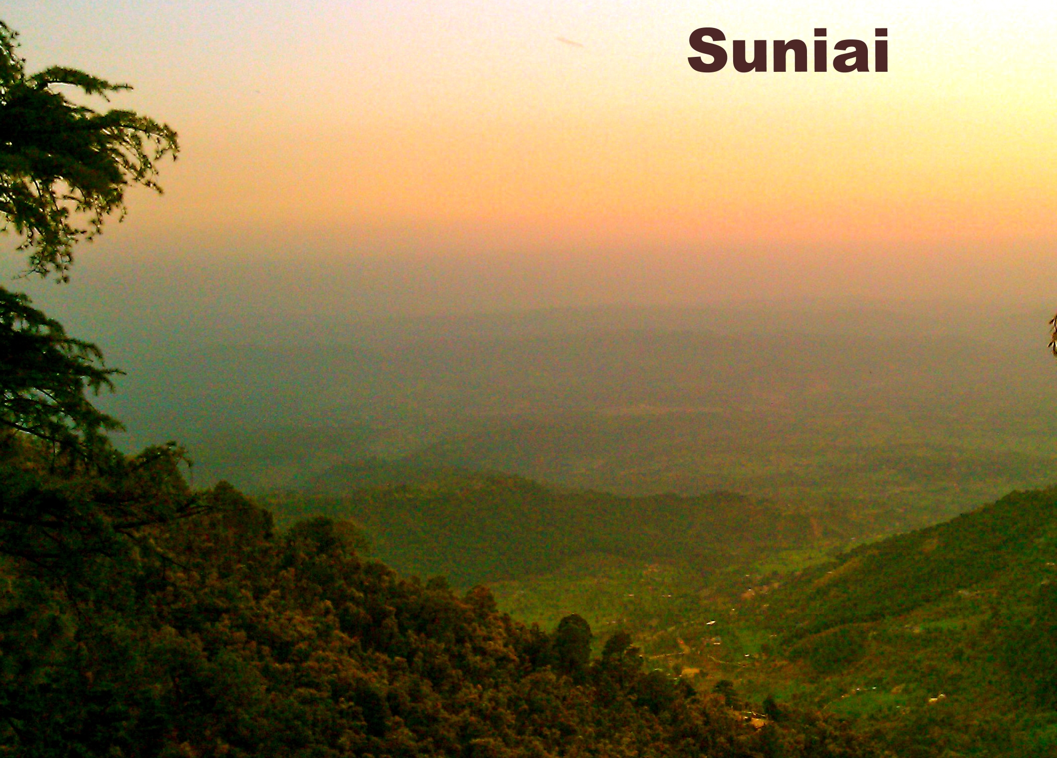 Suniay