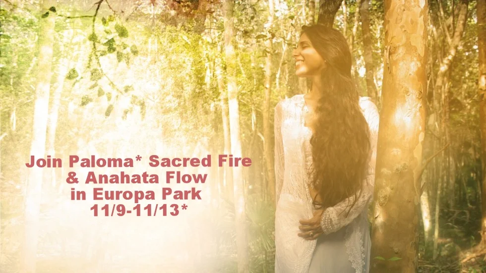 Retreat In Europa Park, Germany! 