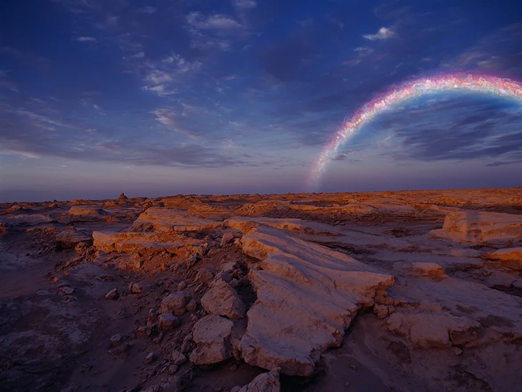 蒋志 Jiang Zhi - by M97 Gallery