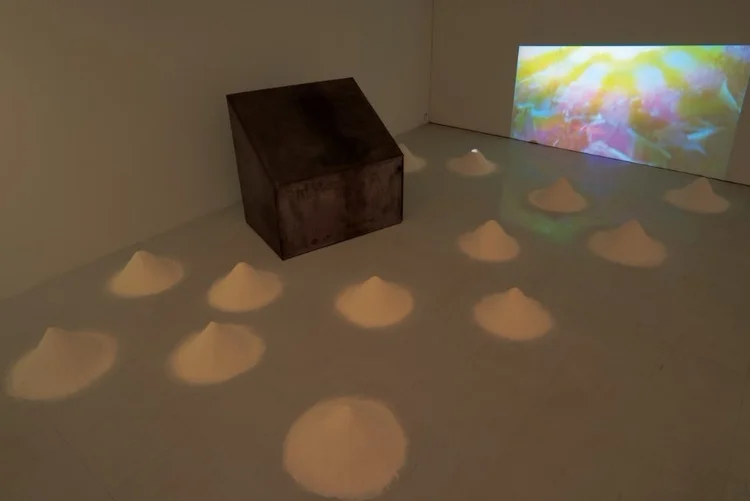 坂口寛敏  Hirotoshi Sakaguchi 