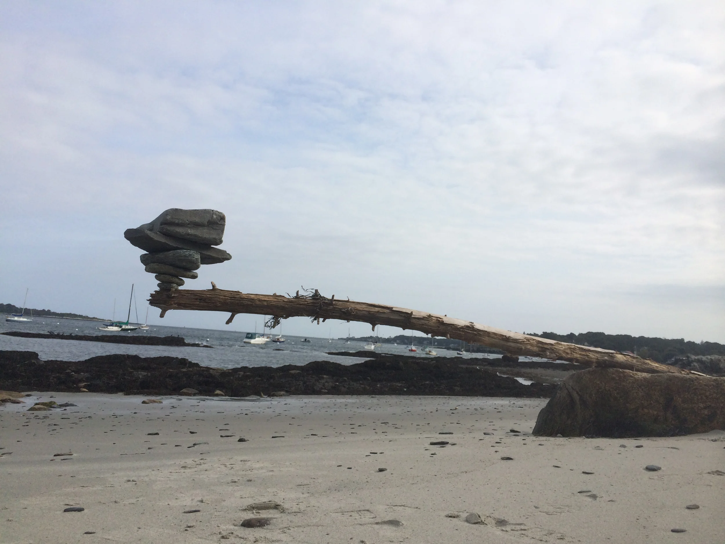 On A Limb South Portland, Me 2014