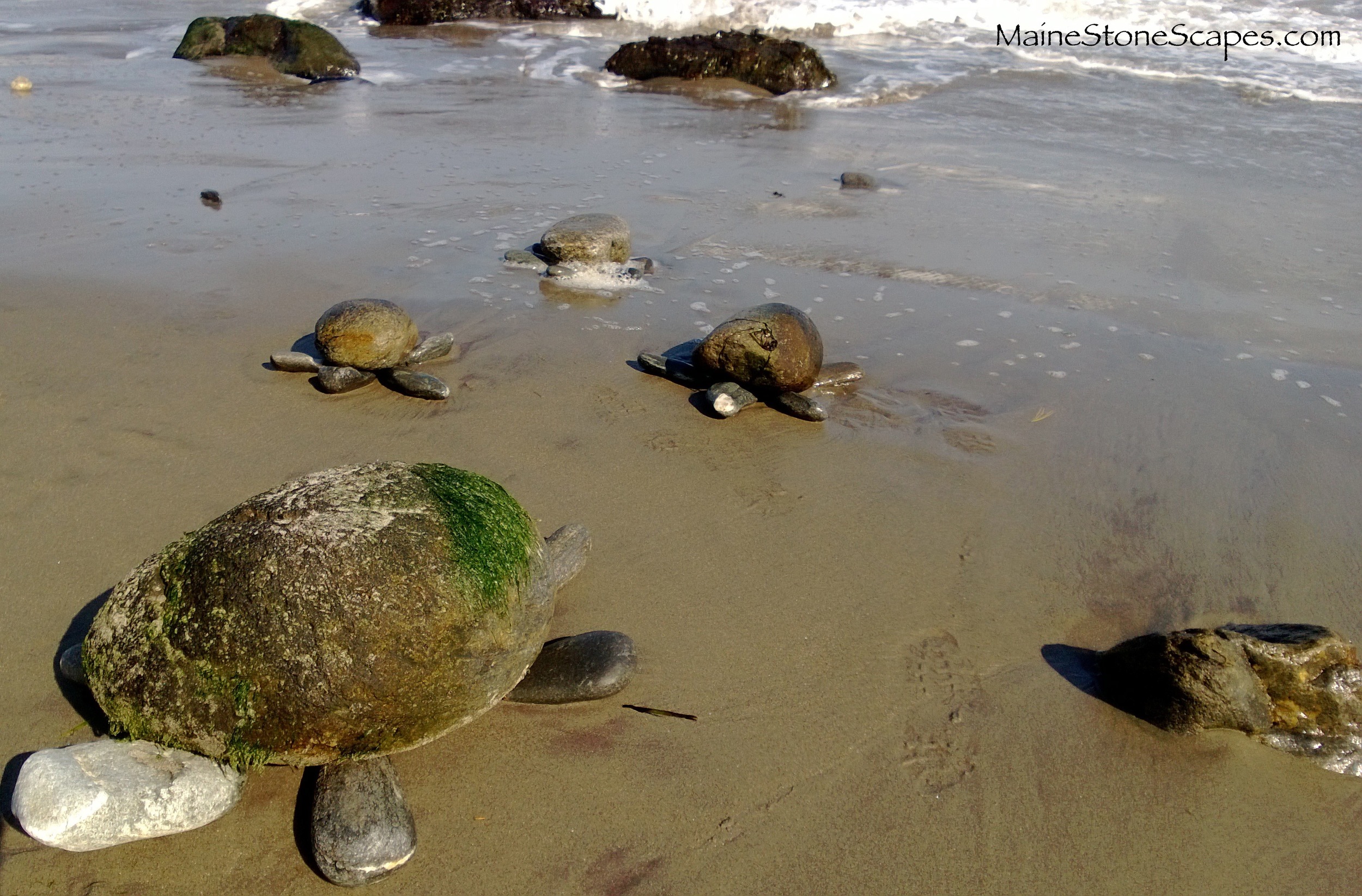 Stone turtles Cape Elizabeth,, Me. 2013