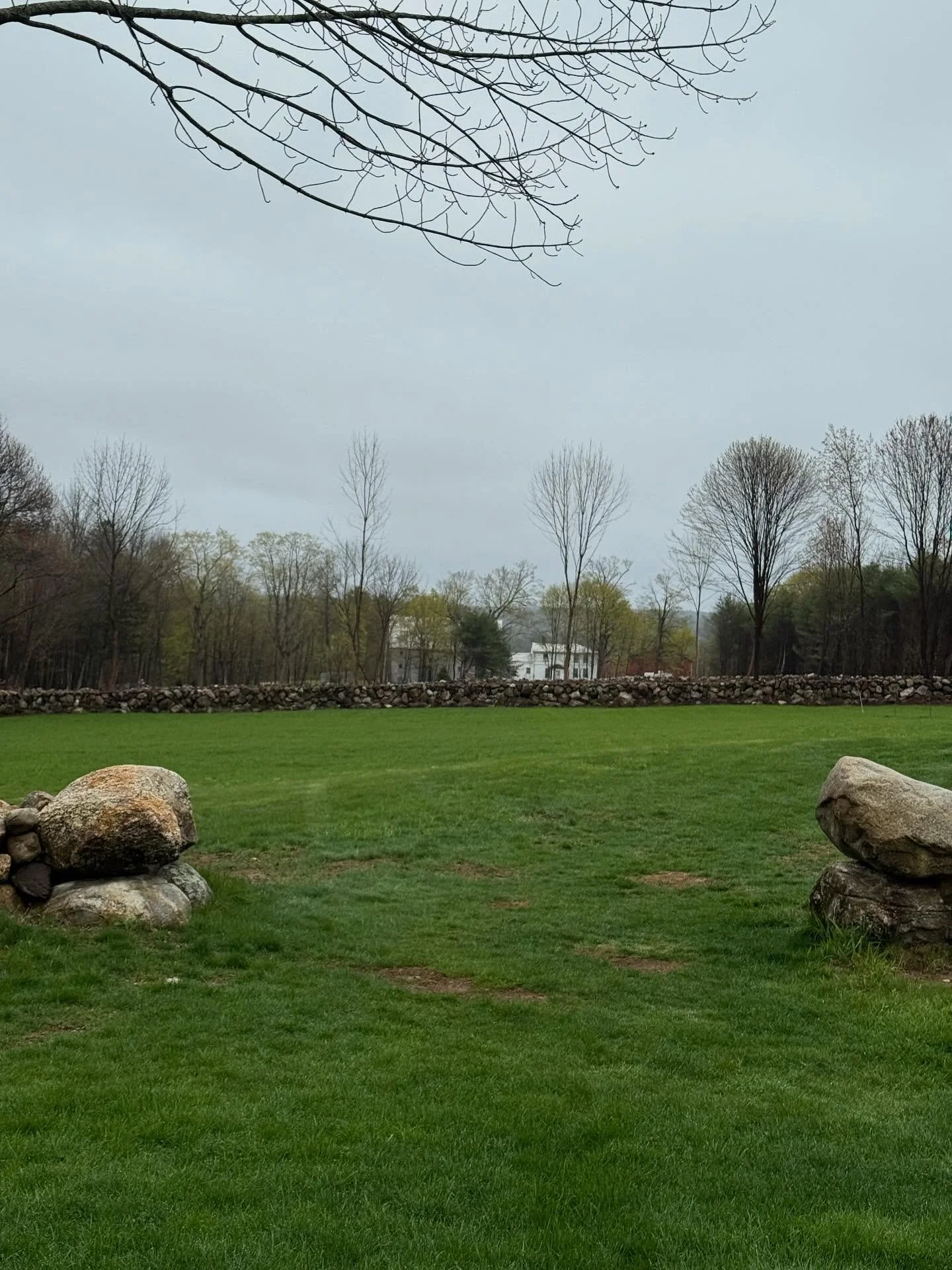 This one popped up on my memories today. Funny things is I&rsquo;m always thinking about it. Slide for the before picture. All the trees were diseased and were cut exposing a few old walls. Lace walling is fast and fun and I can&rsquo;t wait to do mo