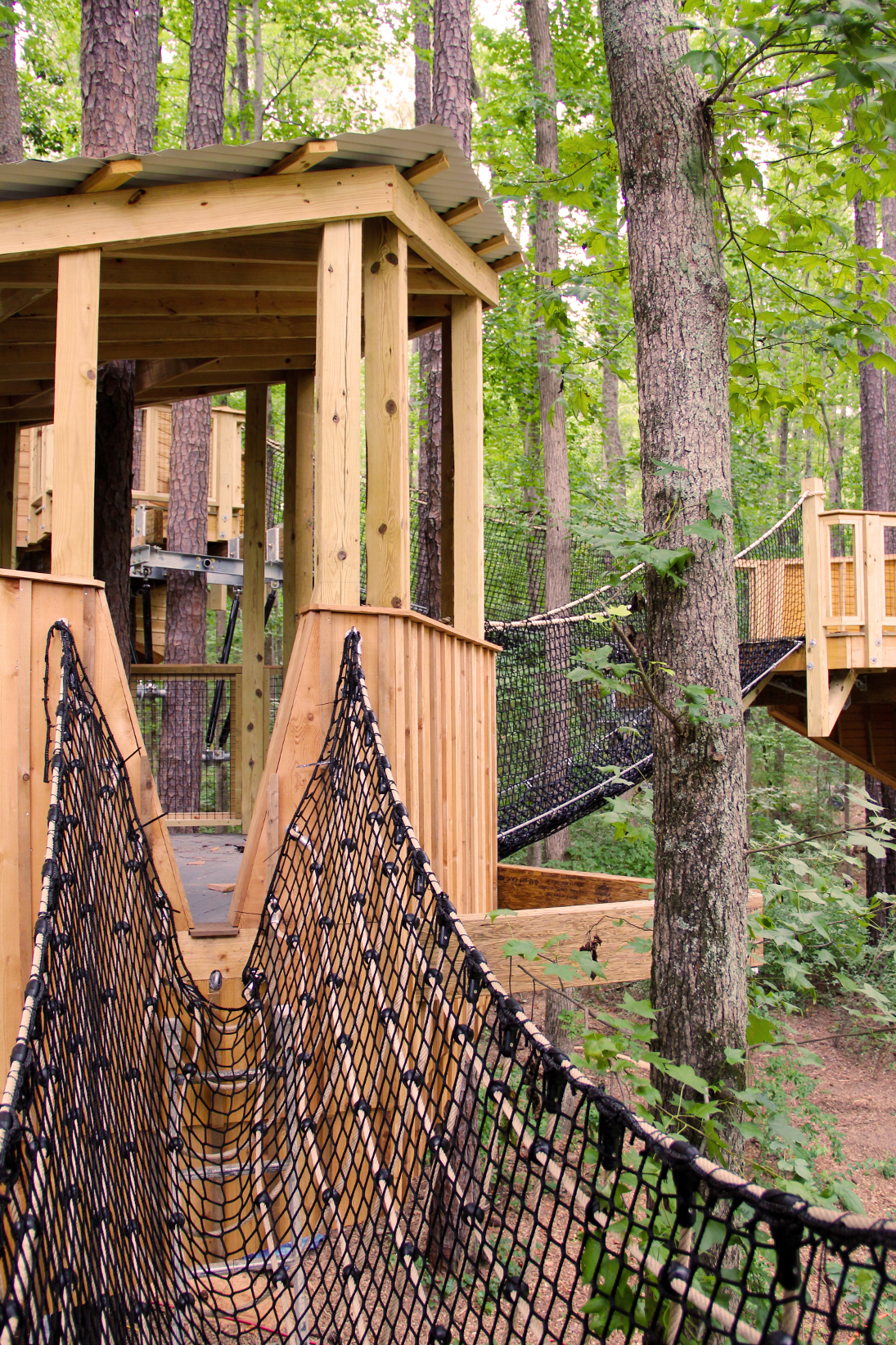 NC Museum of Life and Science