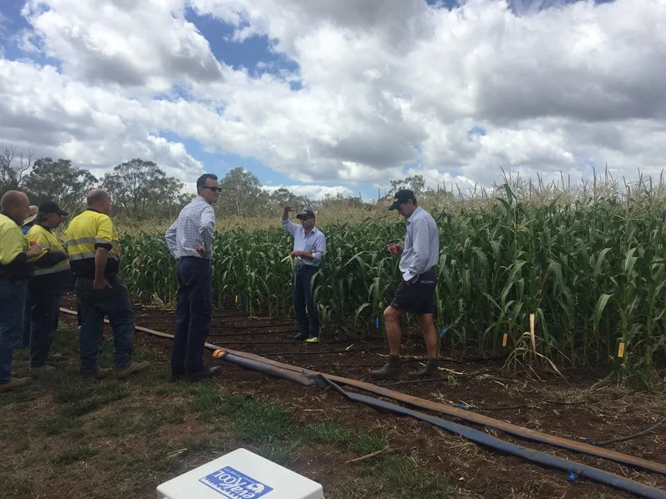 Andrew MacDonald and Lee Moller explain to the team the different characteristics of each new variety.
