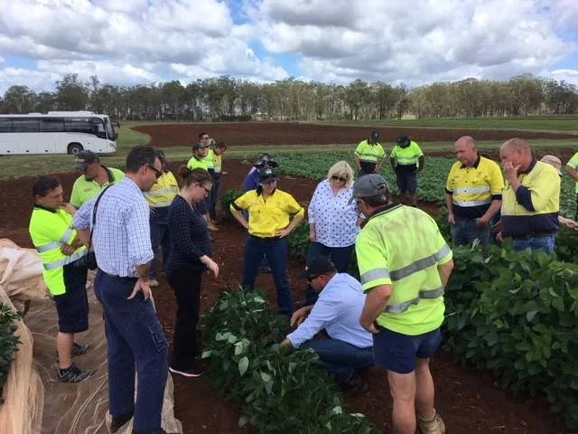 While at the DPI the team was also shown how new soy and other pulses are coming along.