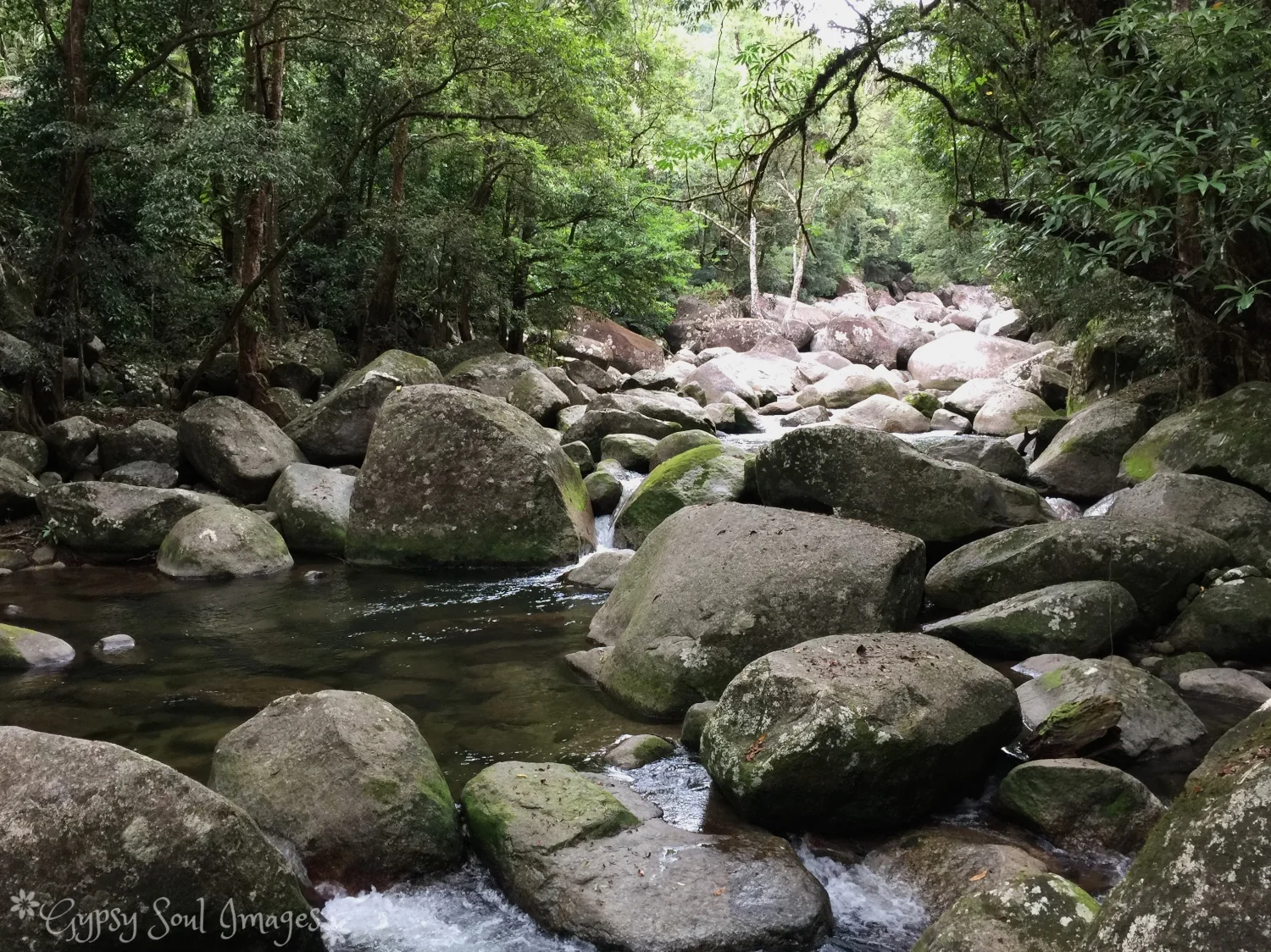 Mossman Gorge