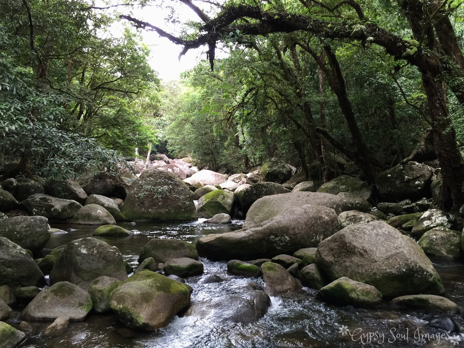 Mossman Gorge, Australia