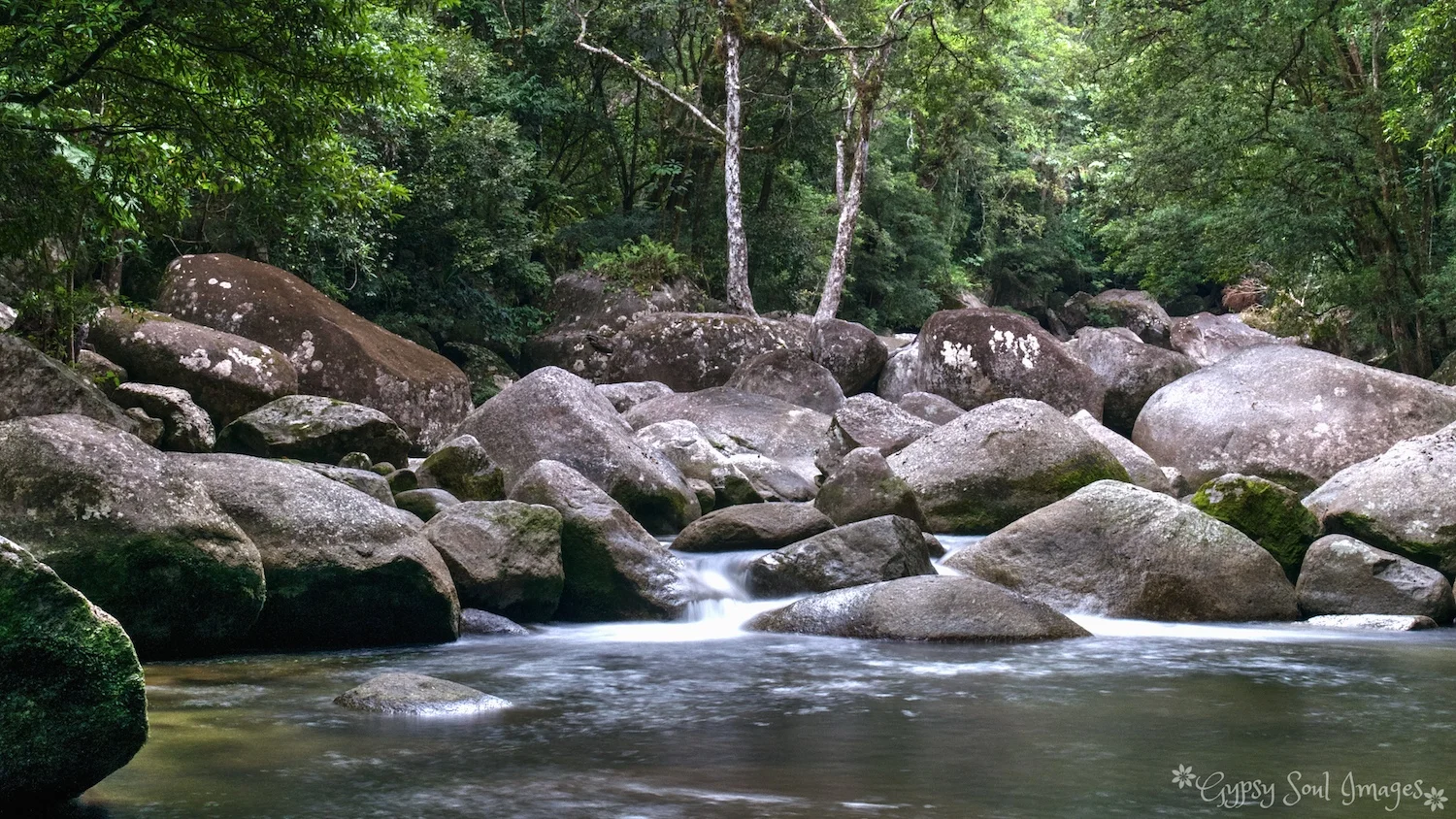 Magical Mossman Gorge