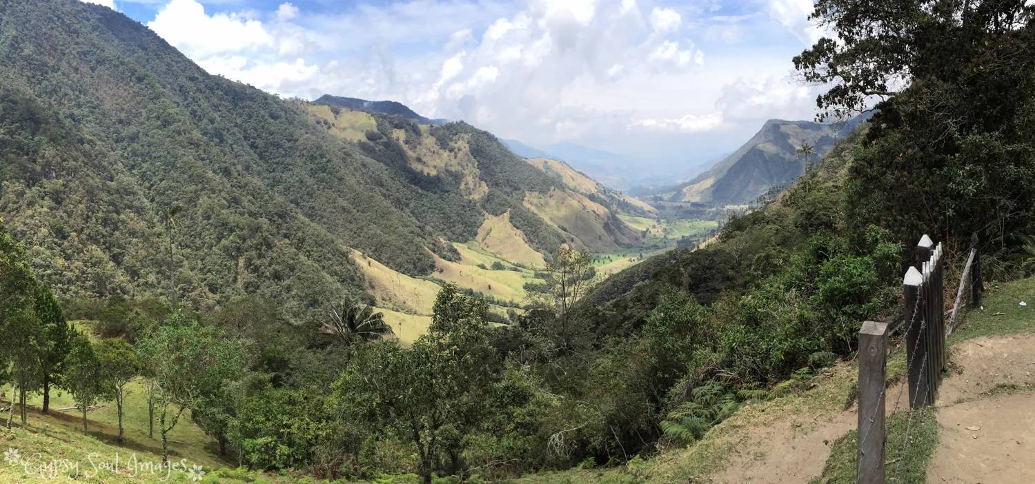 Valle de Cocora 035.jpg