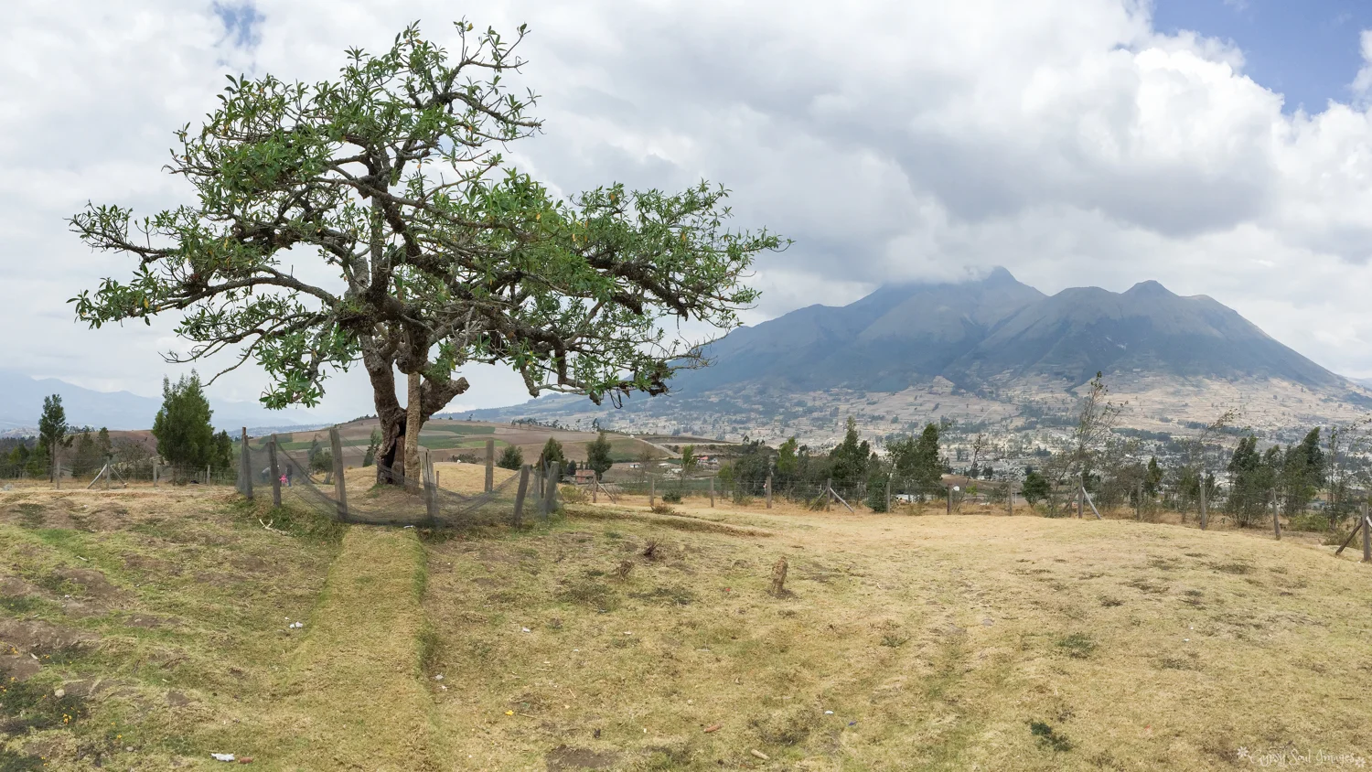Otavalo 053.jpg