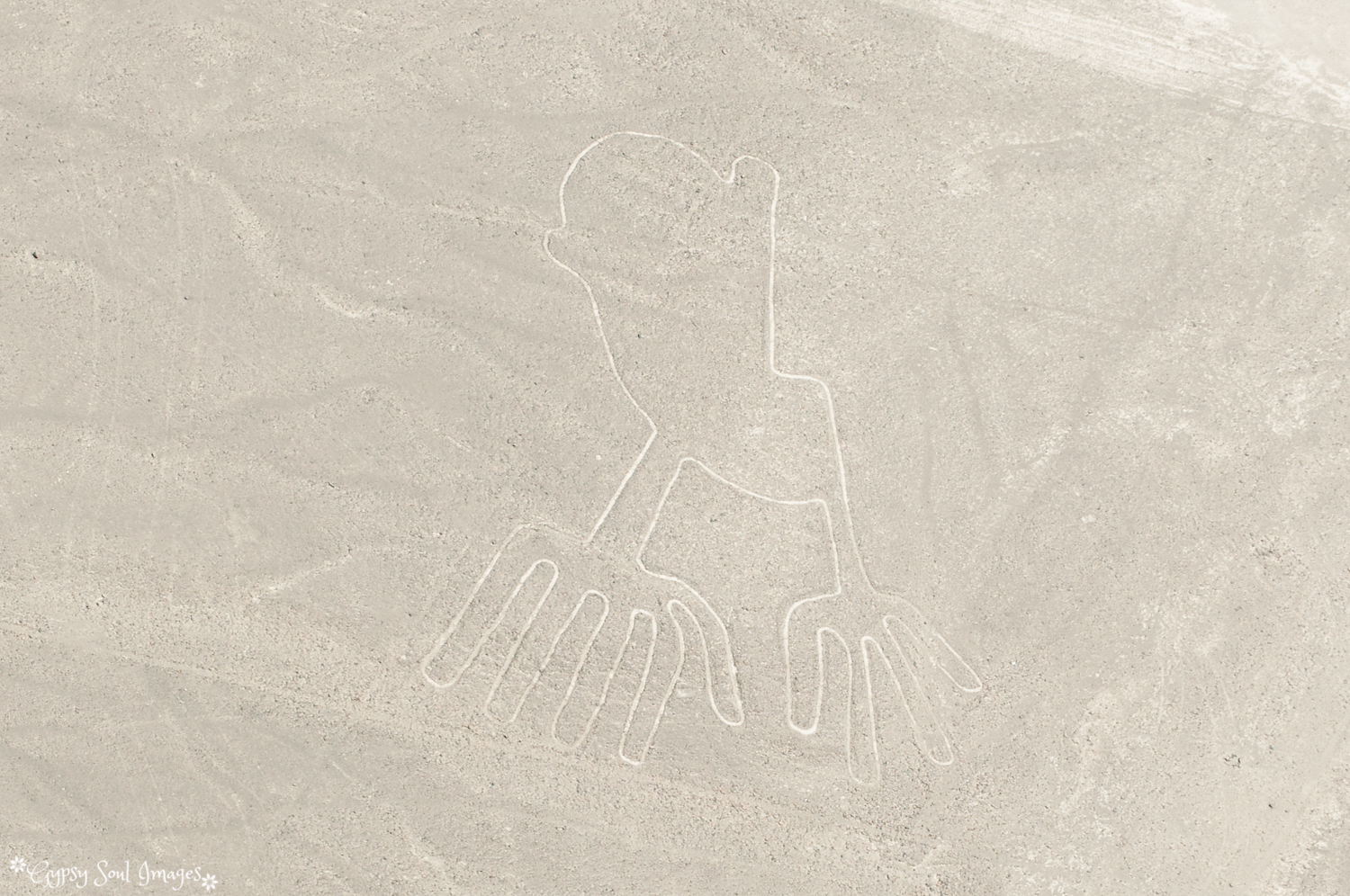 Hands
