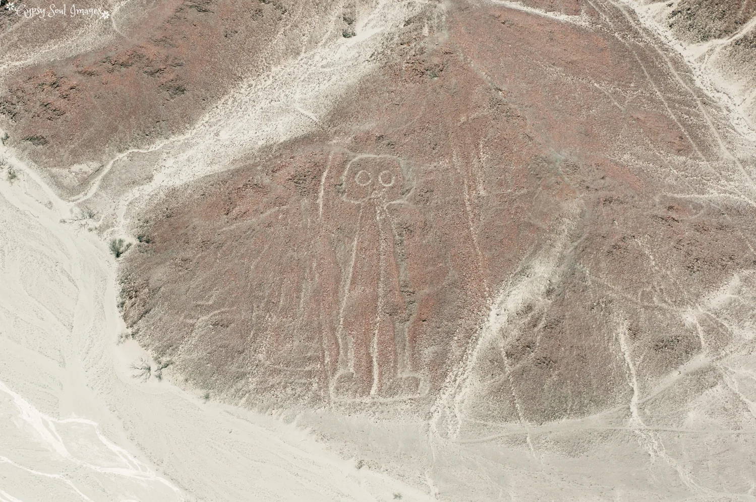 Nazca 011.jpg