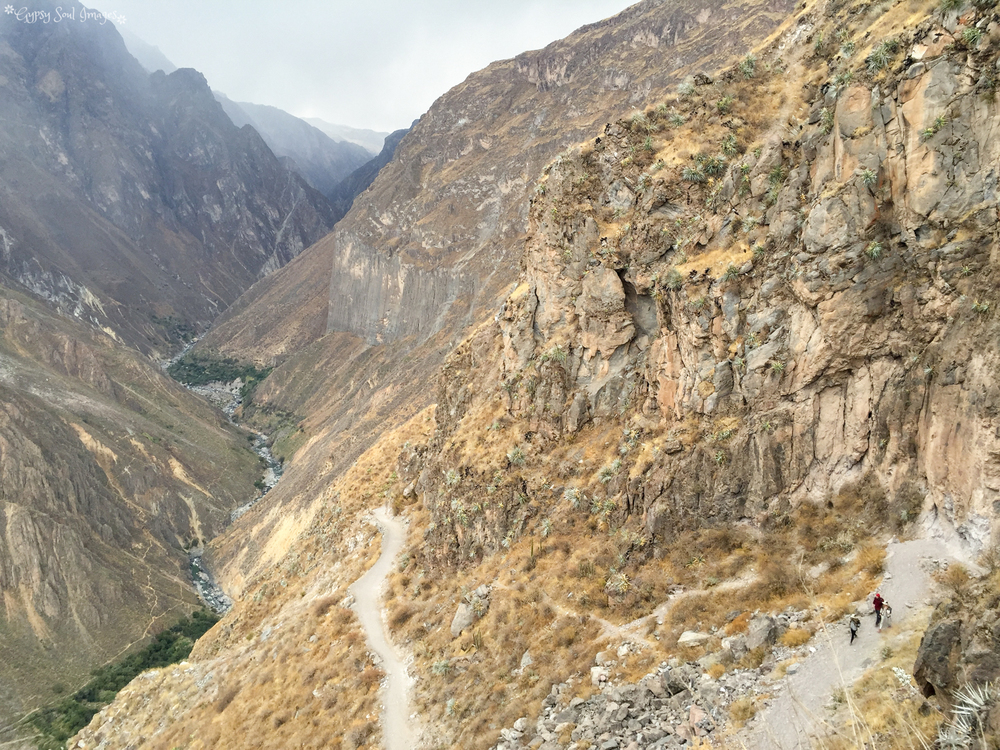 Colca Canyon 026.jpg