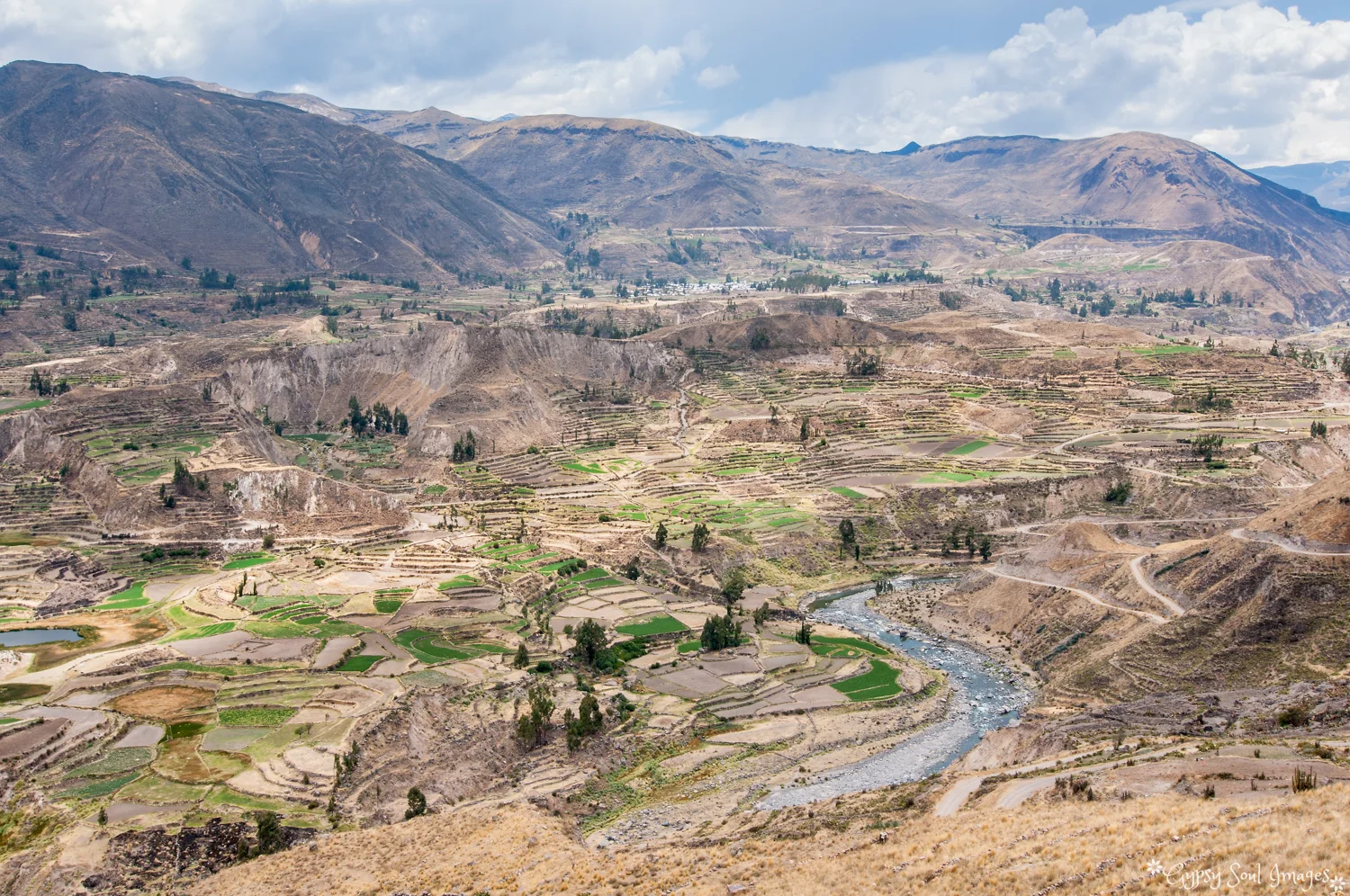 Inca terracing - Colca Canyon, Peru