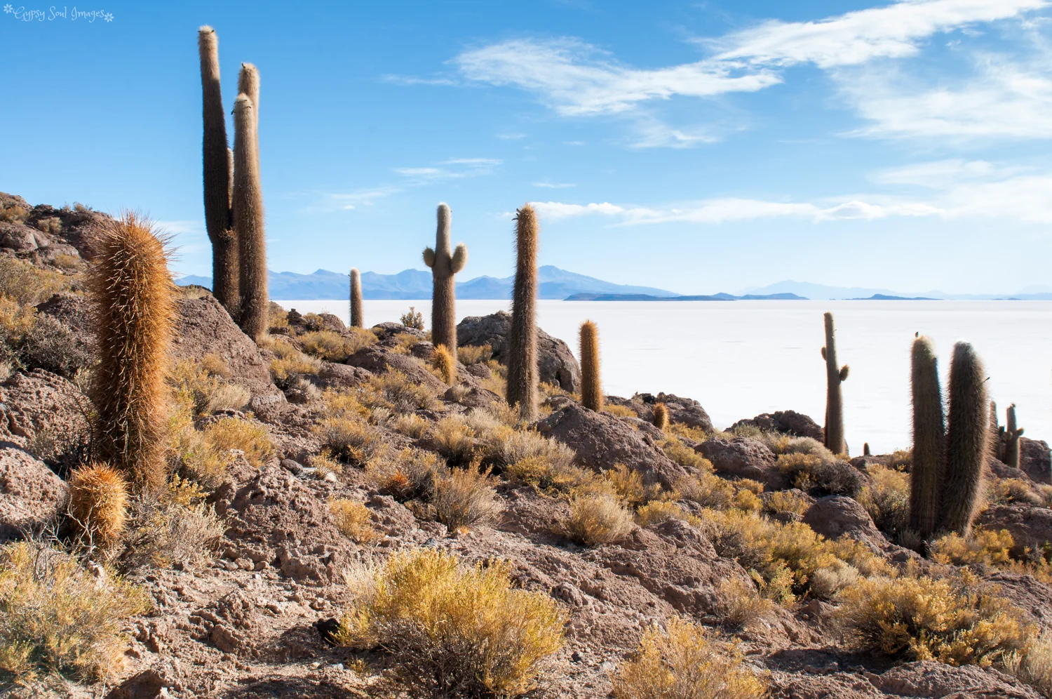 Isla Incahuasi - Salar de Uyuni, Bolivia