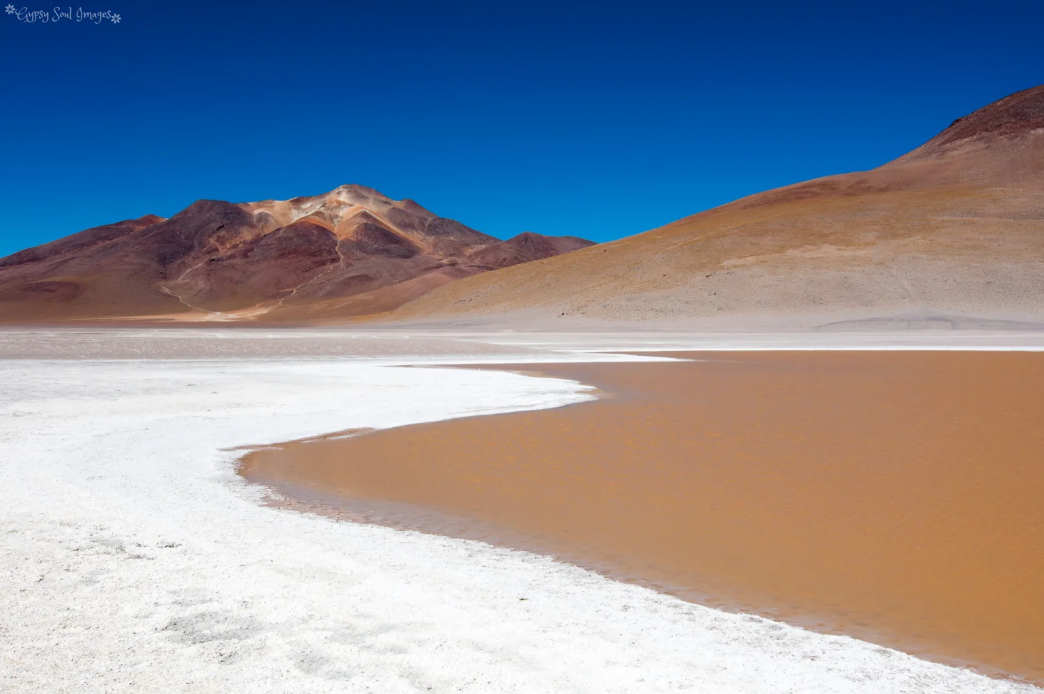 Laguna Hedionda - Bolivian Altiplano