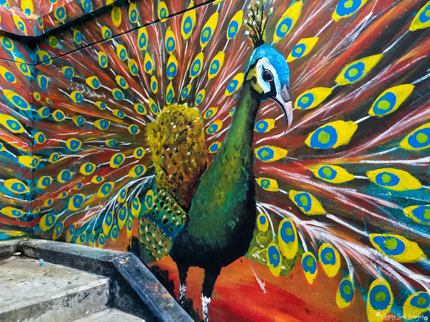 Medellin 039.jpg