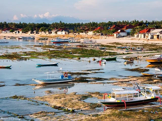 Seaweed Farming - Nusa Lembongan, Indonesia
Nusa Lembongan is a little piece of island paradise π off the east coast of Bali, with a laid back vibe and awesome surf breaks. πππ»ββοΈ The locals farm seaweed in the bay and when the tide goes out it becomes a hive of activity as they harvest the crop.
#gypsysoulimages