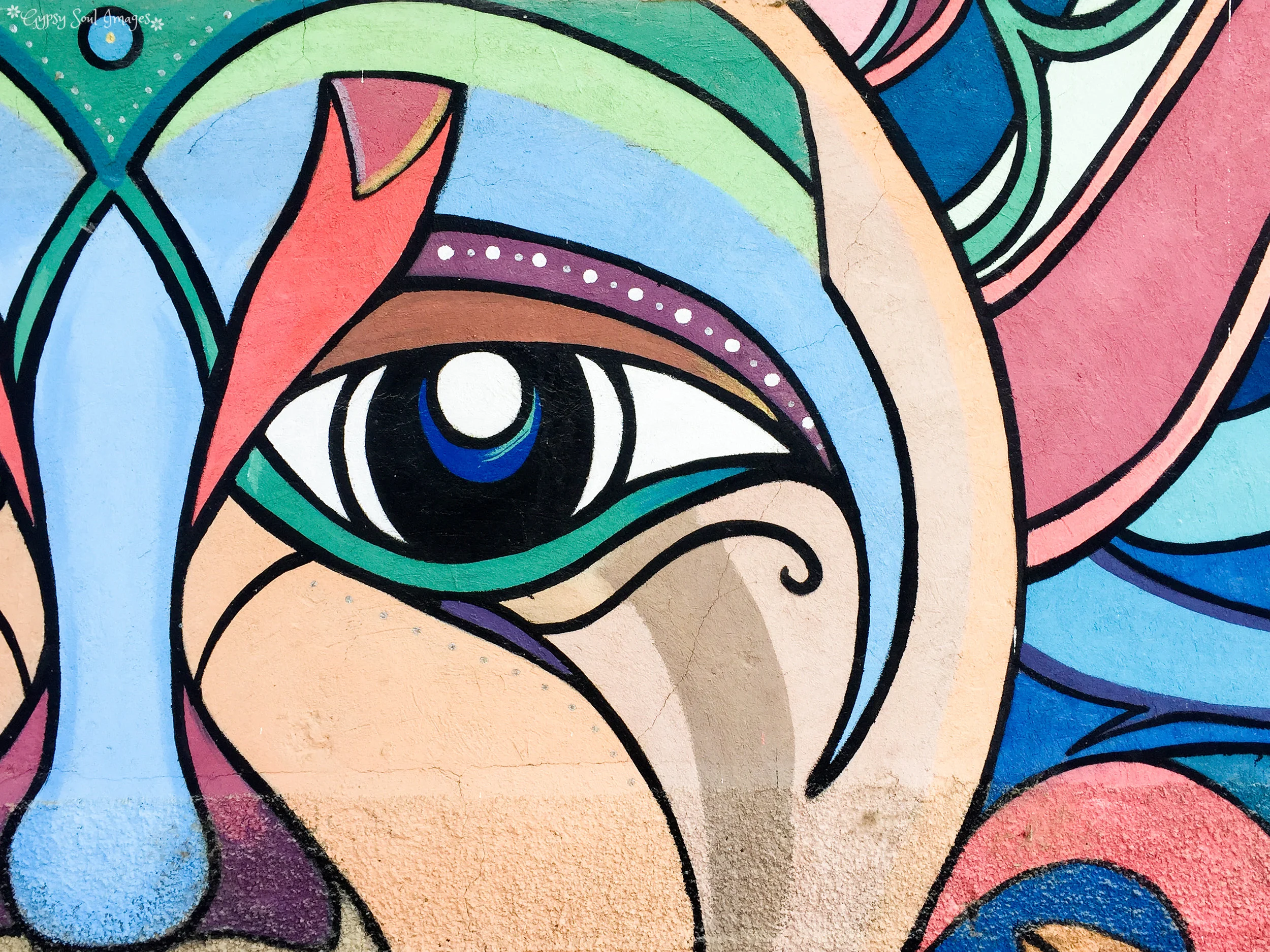 Eye Spy - Coroico, Bolivia
