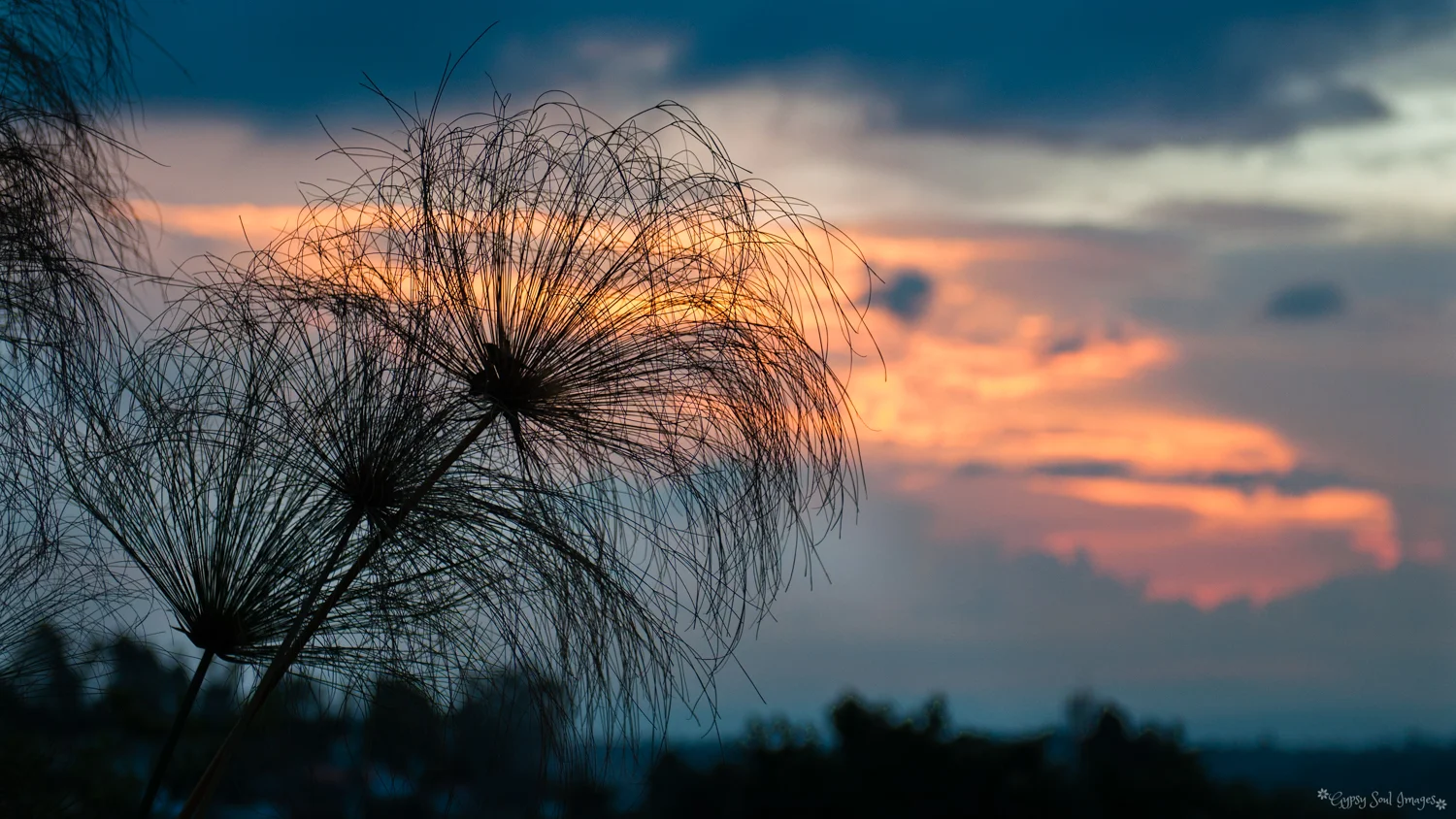 Sunset - Salento, Colombia