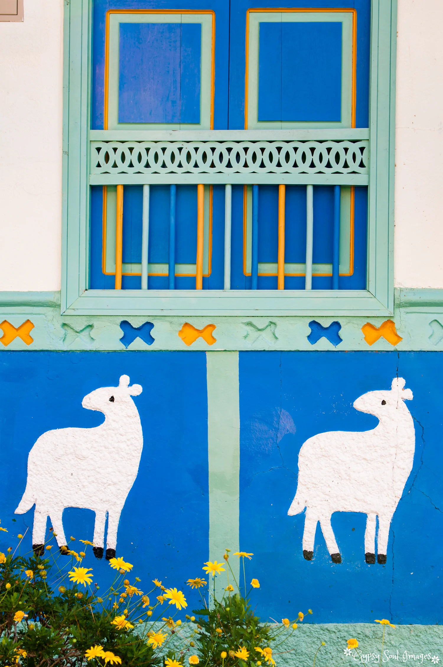 Little Lambsy - Guatapé, Colombia