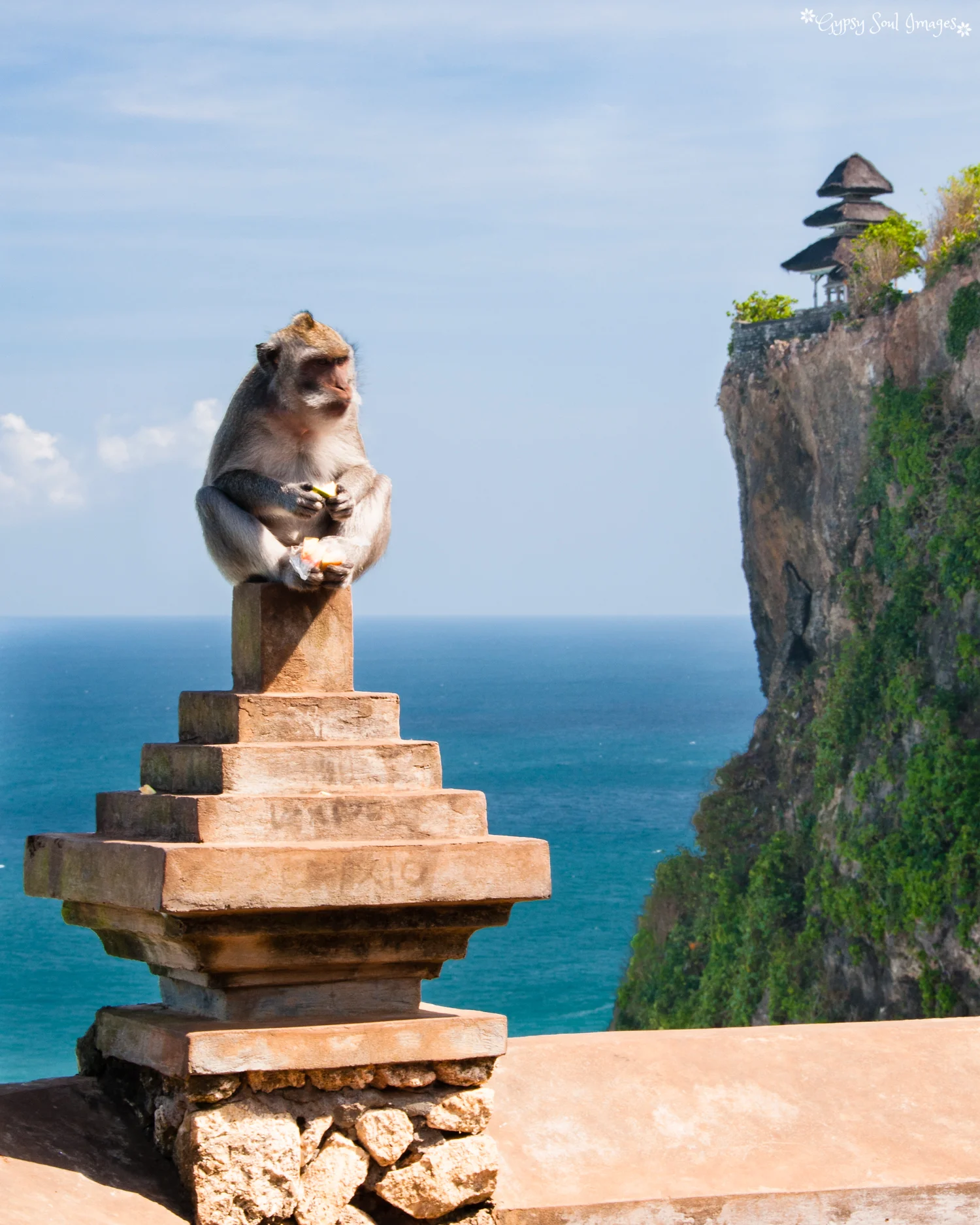 Cheeky Monkey - Uluwatu, Bali