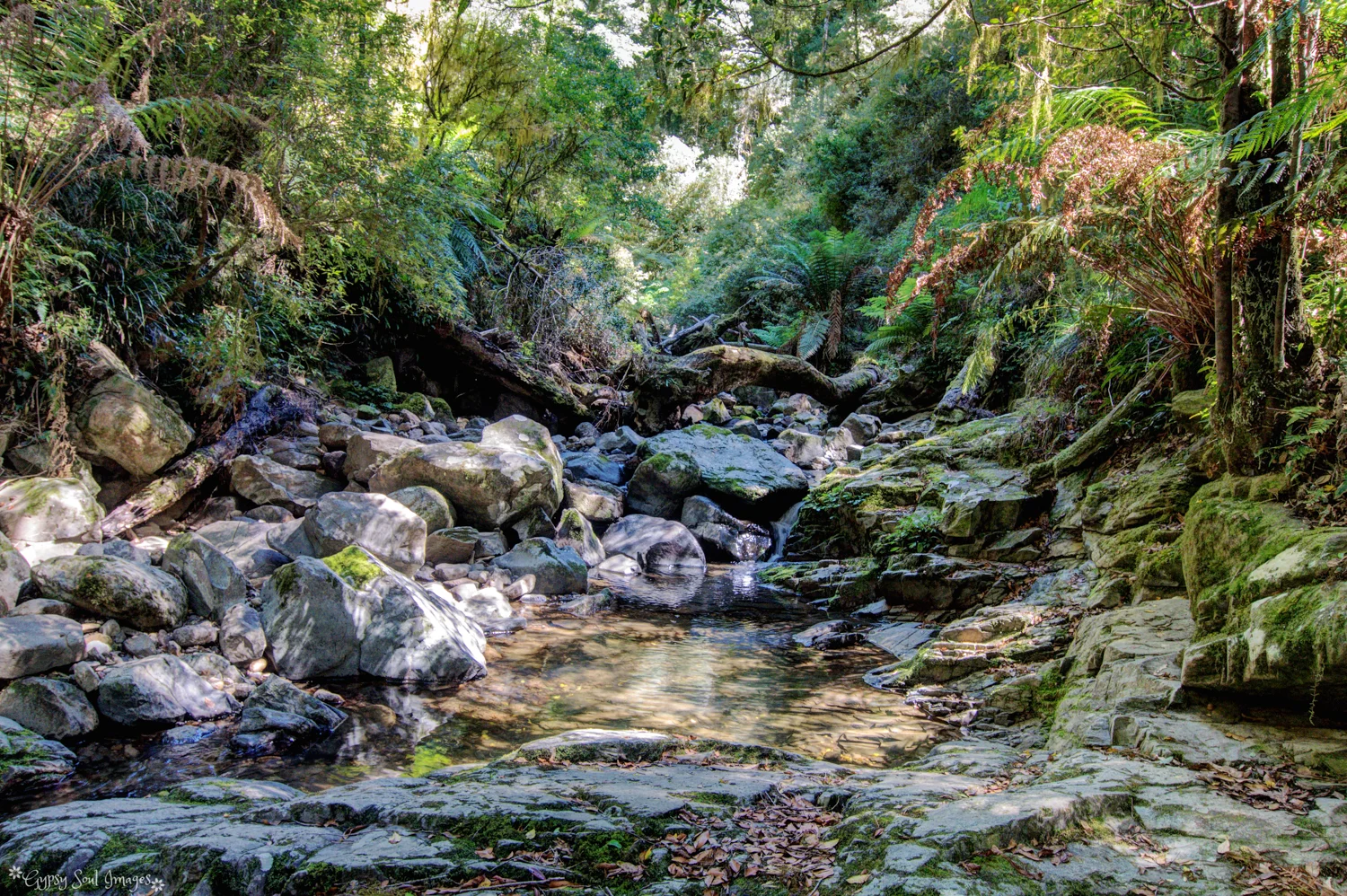 Cascades - New England National Park, Australia
