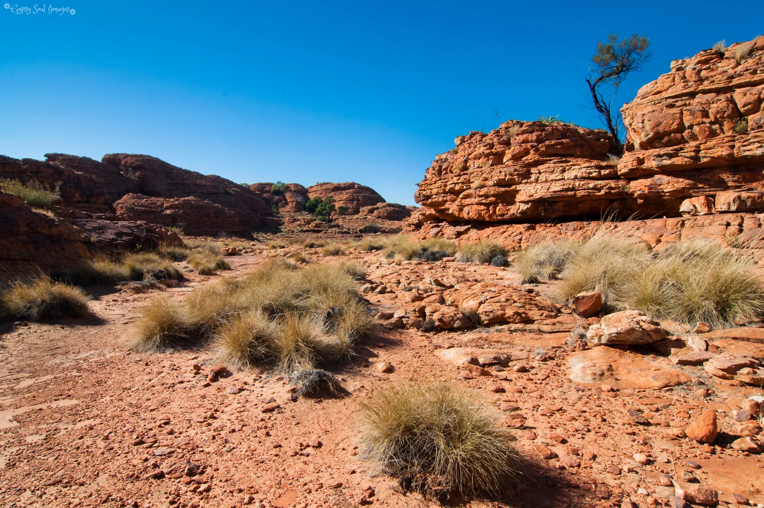 Kings Canyon Rim Walk - Watarraka National Park, Australia