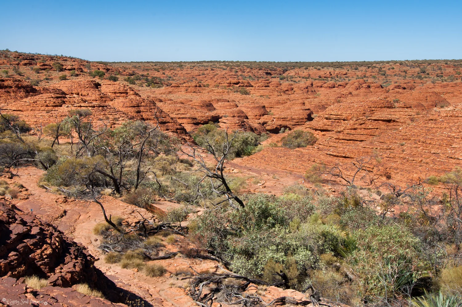 Kings Canyon Rim Walk - Watarraka National Park, Australia