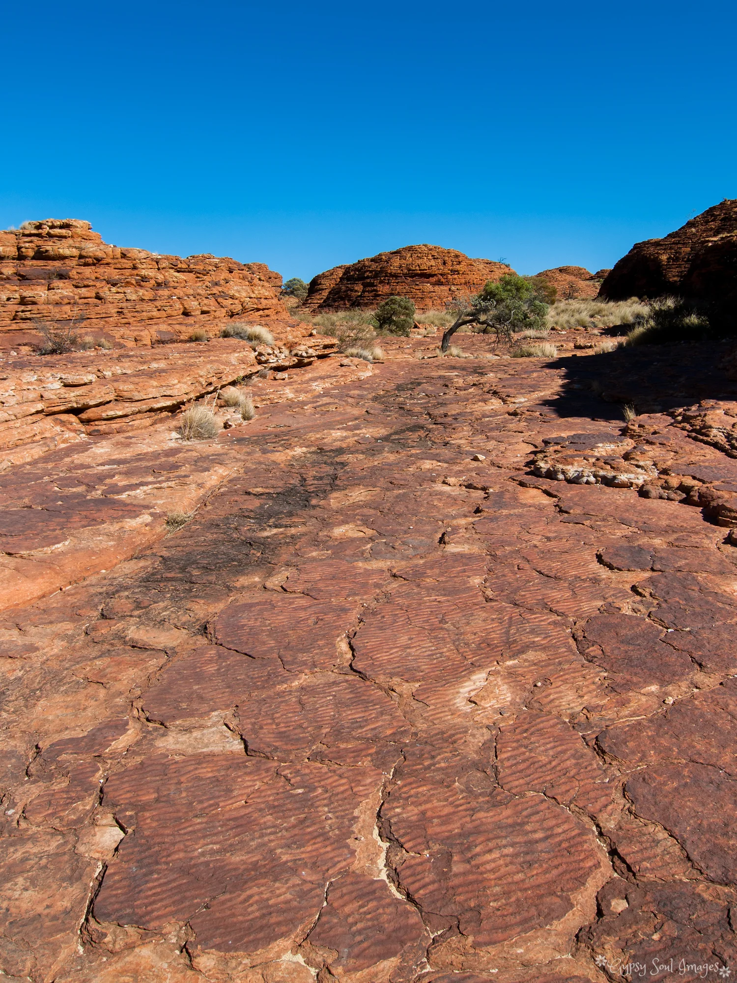 Kings Canyon Rim Walk - Watarraka National Park, Australia