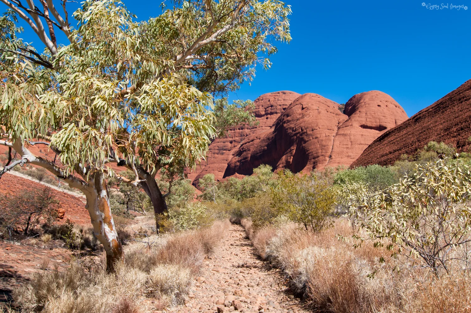 Valley of the Winds Walk - Uluru–Kata Tjuta National Park, Australia