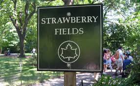 Strawberry Fields1.jpeg