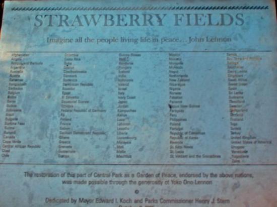 Strawberry Fields4.jpg