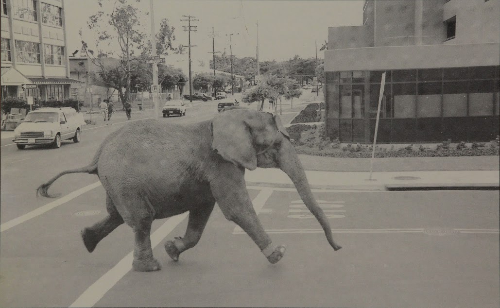 Tyke Killer Elephant, courtesy Portland Film Festival.jpg