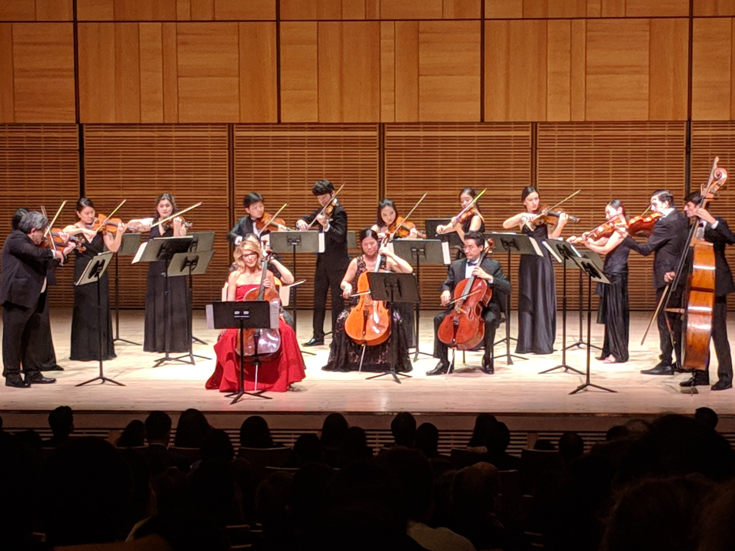  Paula Zahn plays the cello, with Sejong Soloists 