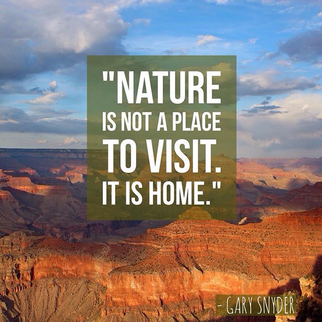 Did you get a chance to explore #nature this weekend? #naturelovers