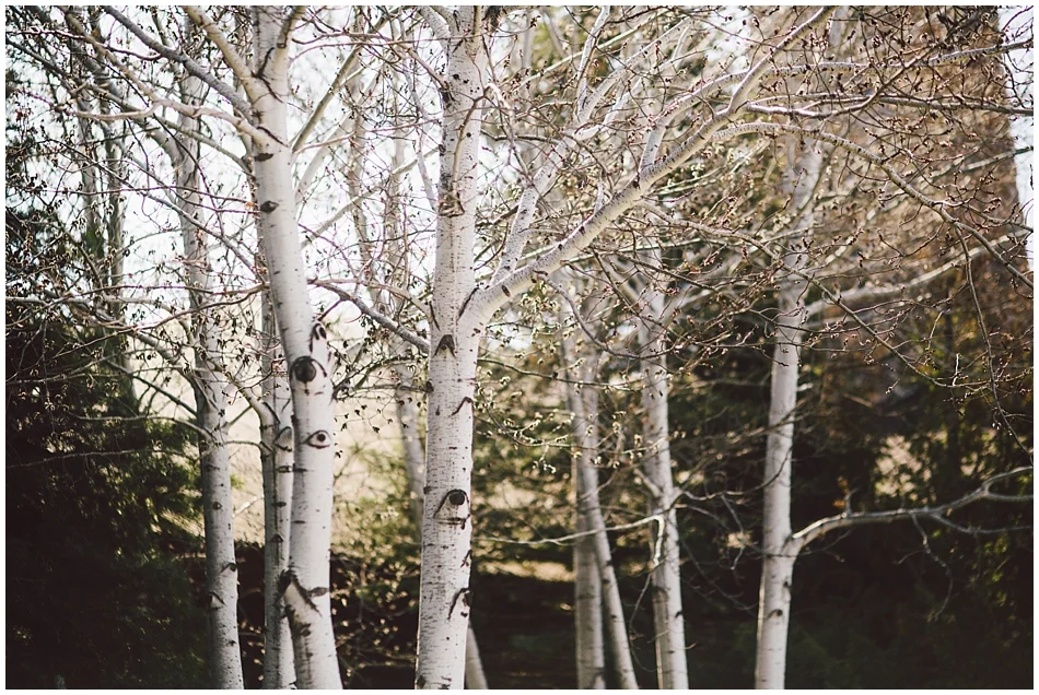 Wilderness Ridge Wedding, Lincoln NE