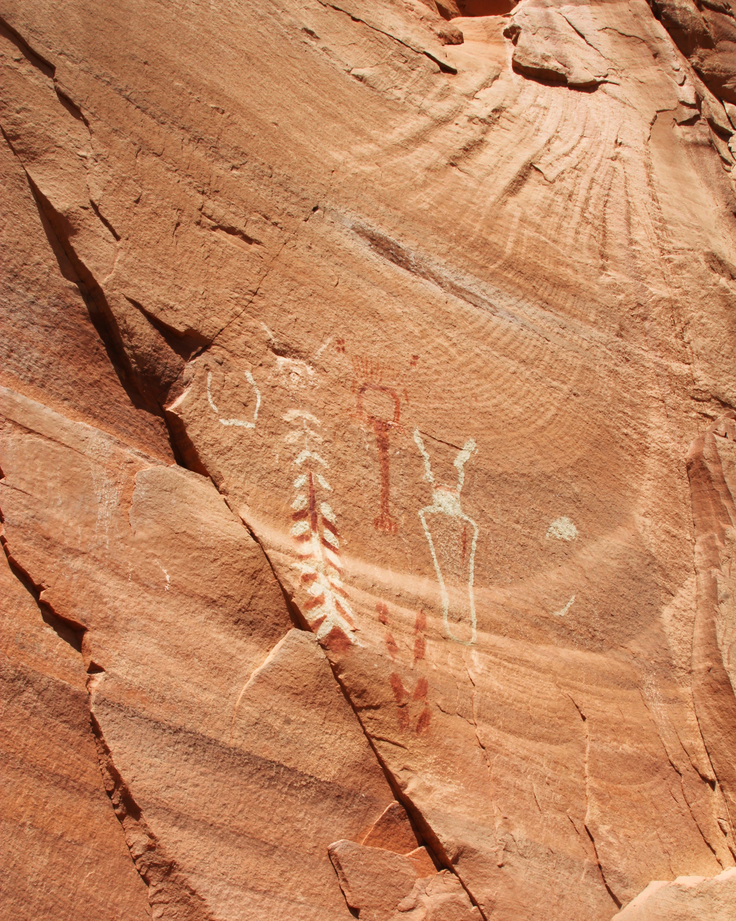 IMG_3890_CoyoteGulch.jpg