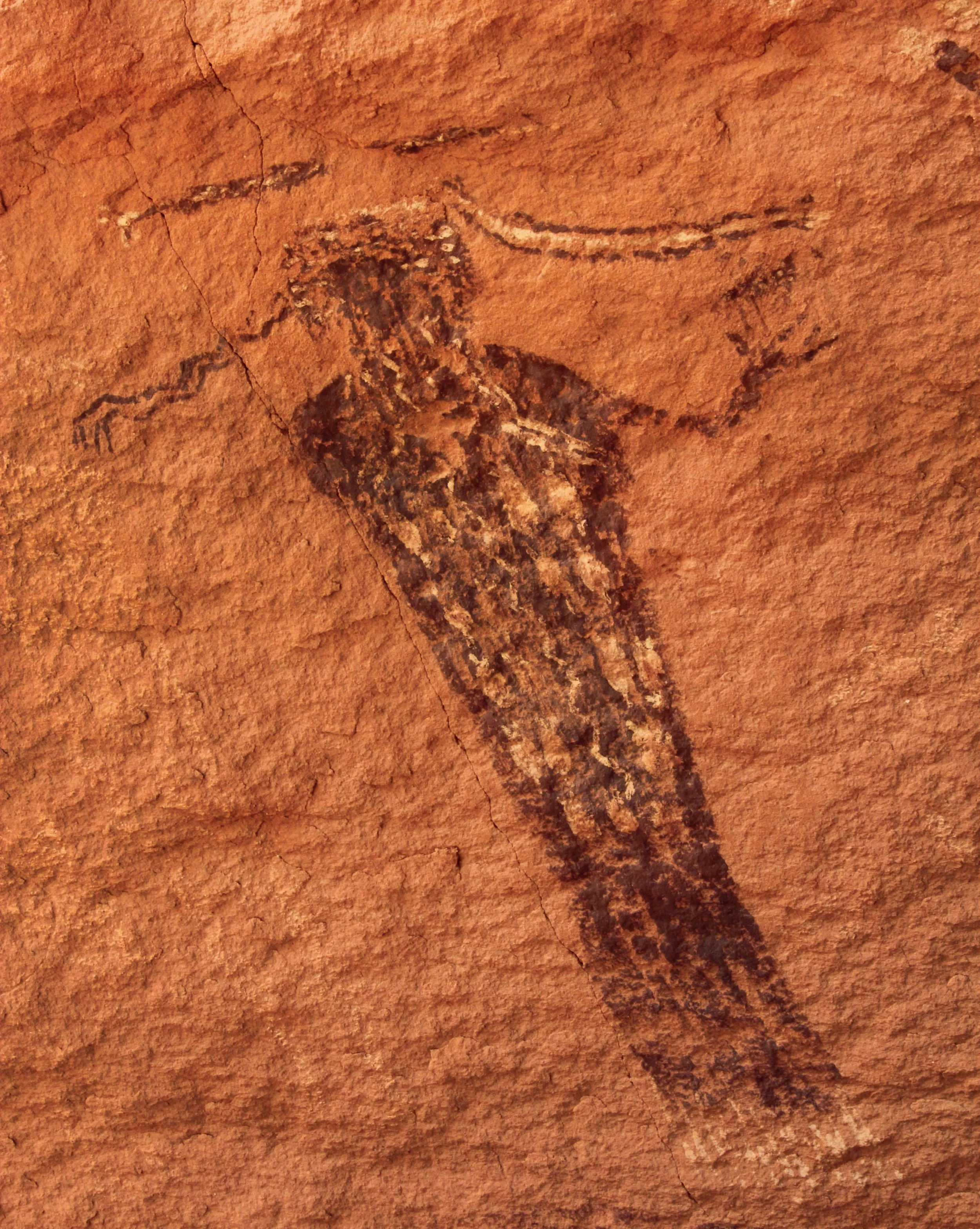IMG_0591_DragonflyPanel.jpg