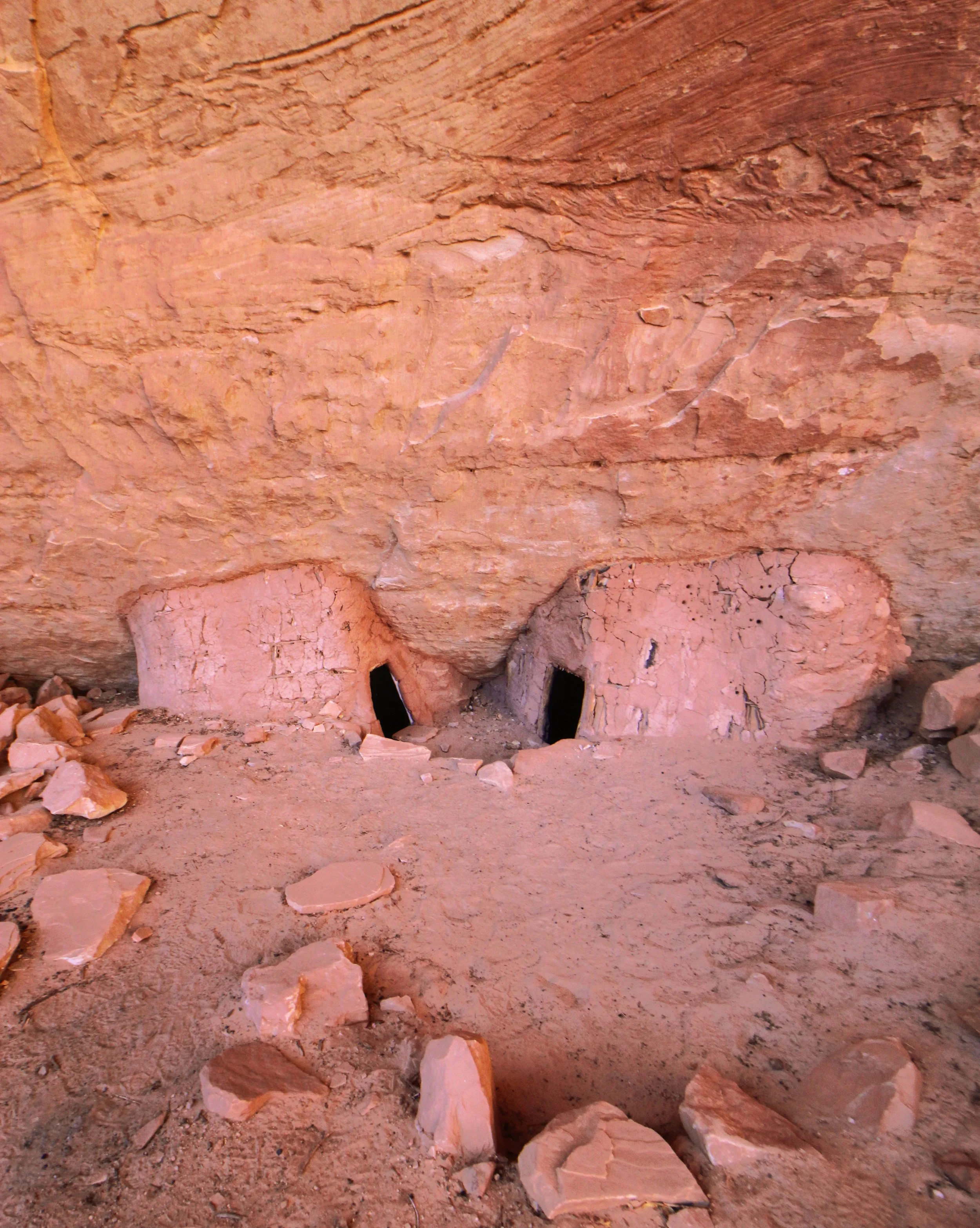IMG_3507_WhiteCanyonRuins.png.jpg