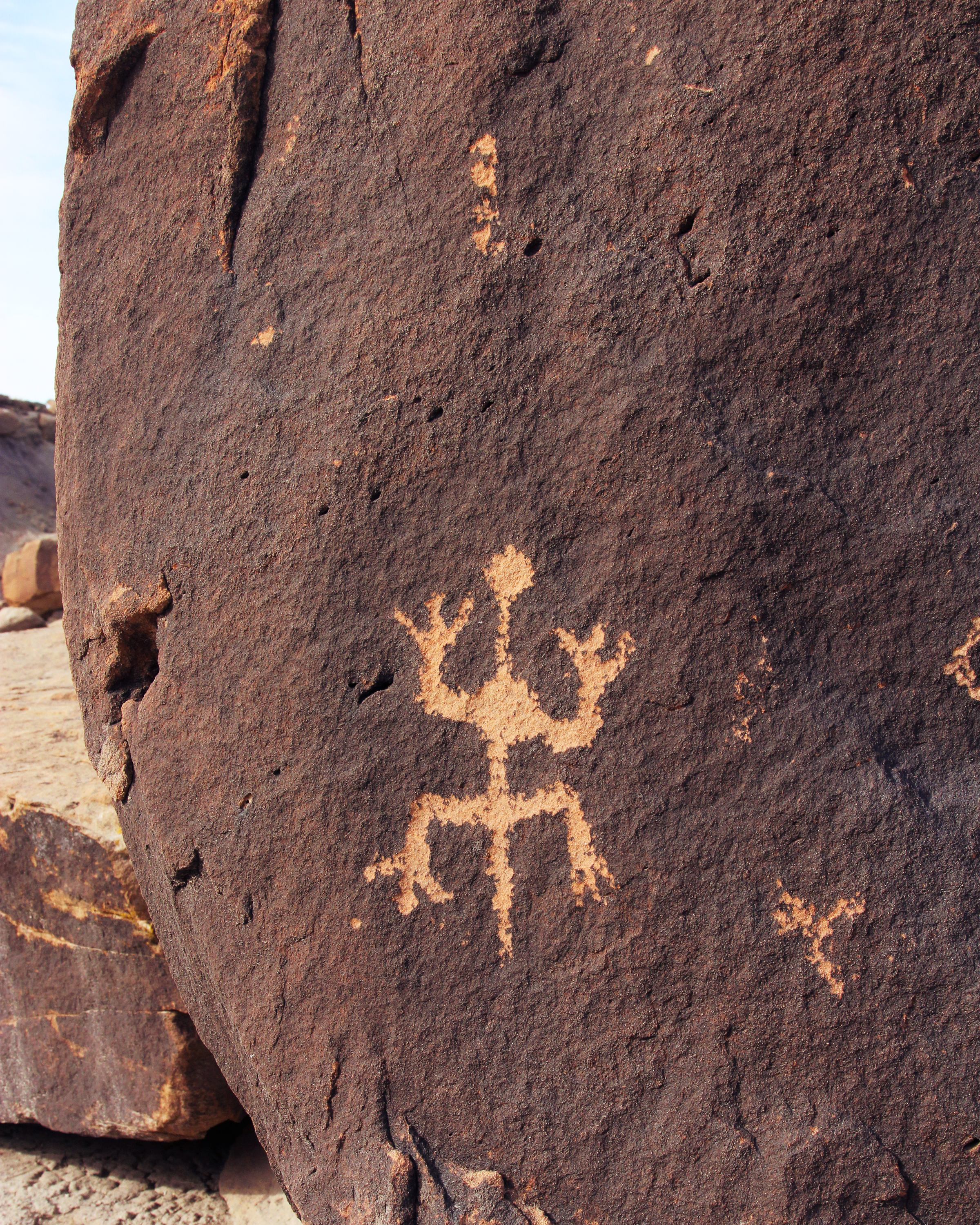 IMG_9638_PFNP_StarvingManCliffs_FirstLizard.png