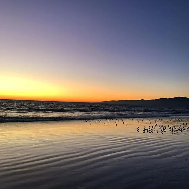 Sunset at Venice Beach. 
Was so lovely to see the Pacific Ocean again.