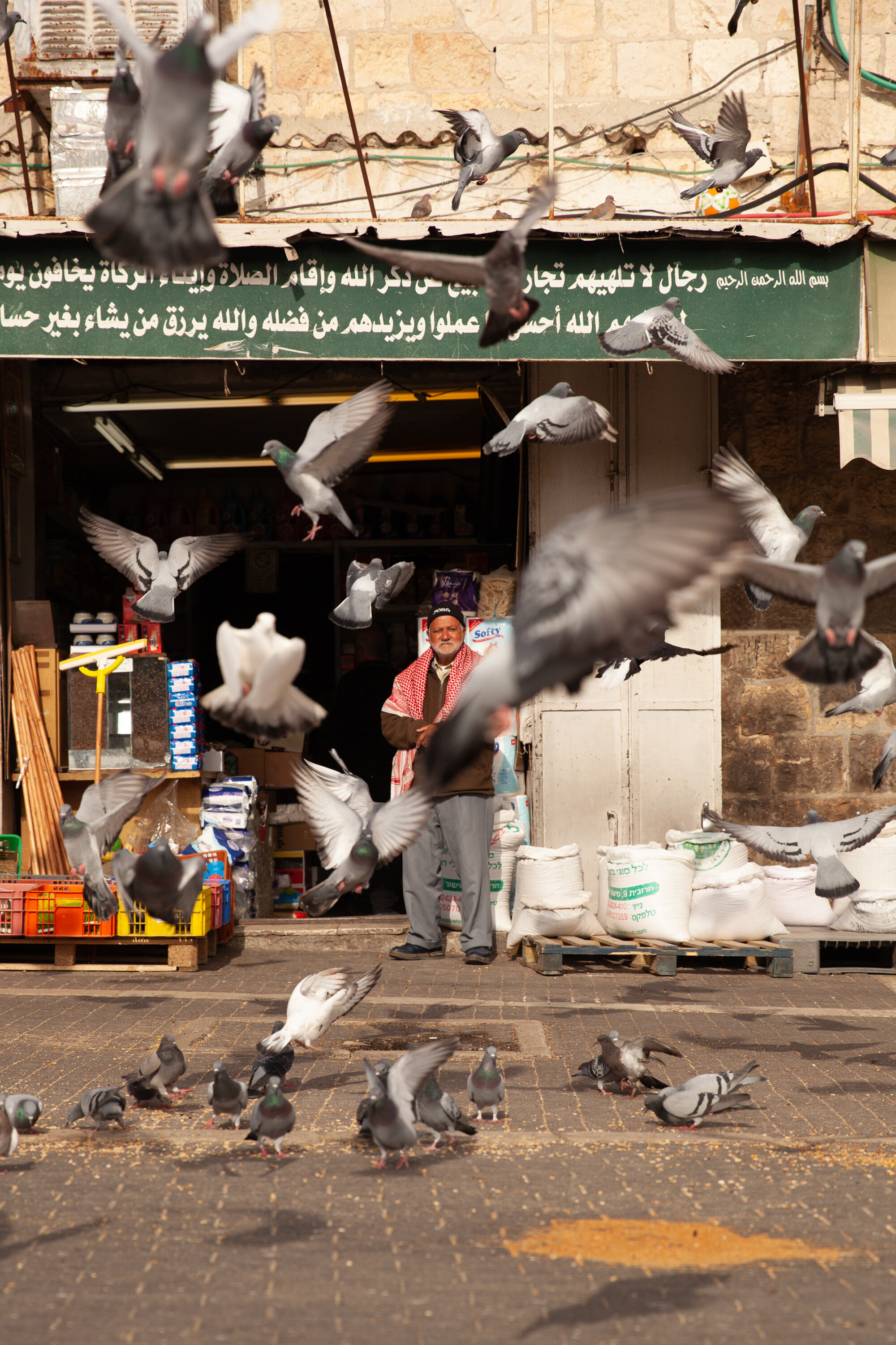 untitled-2.jpg
